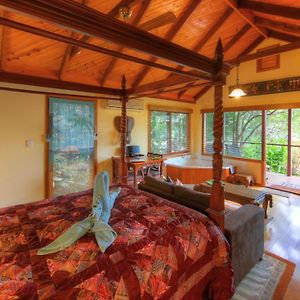 Lovina House Room